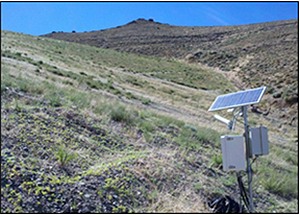 Vegetation Ecology