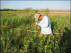 Habitat Restoration