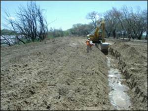 Habitat Restoration