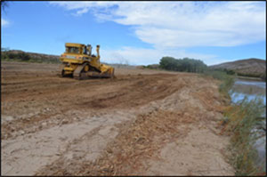 Habitat Restoration