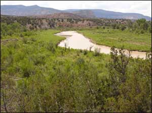 Habitat Restoration