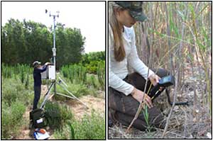 Habitat Restoration