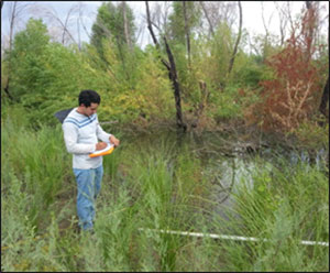 Habitat Restoration