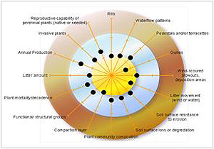 Vegetation Ecology